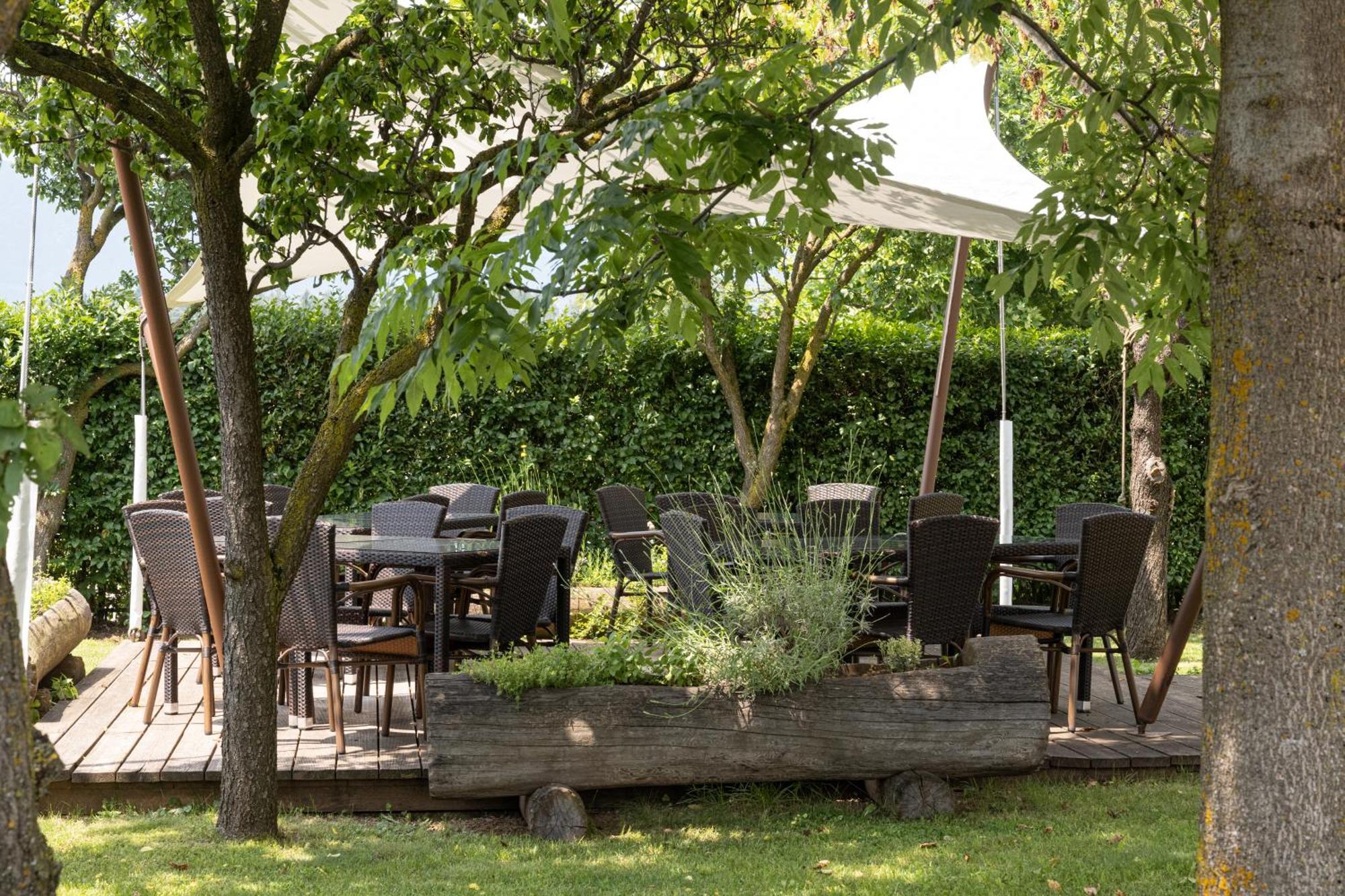 Piccolo Orso Bruno Bed & Breakfast Cavareno Exterior photo
